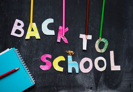 The writing paper back to school on chalk blackboard background Stock Photo